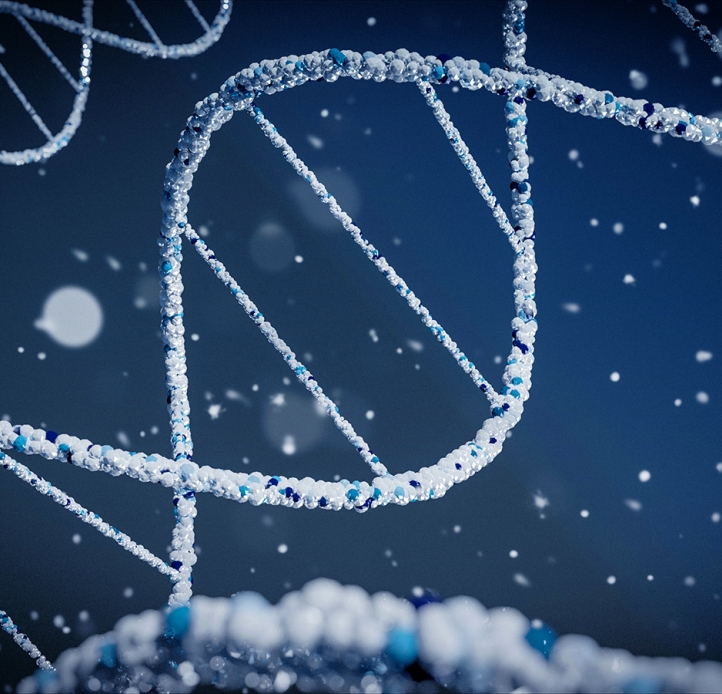 Programs Chemistry SUNY Buffalo State University